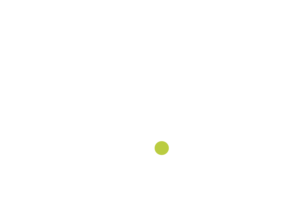 NaturalDomus Official Logo